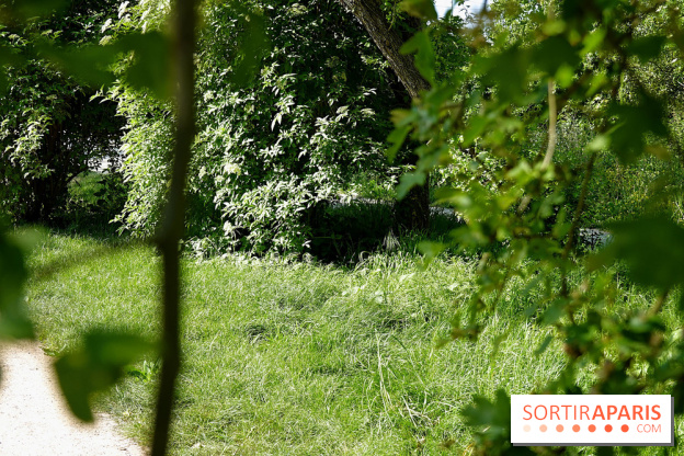 La Coulée verte de Deuil-la-Barre dans le Val-d'Oise - nos photos