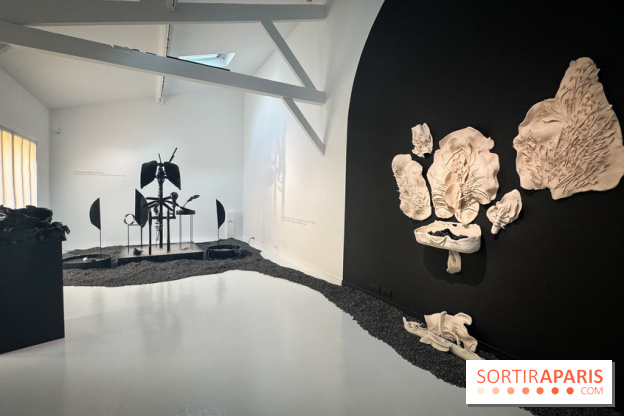 Exposition Diseuses de Silence à l'Espace Monte-Cristo