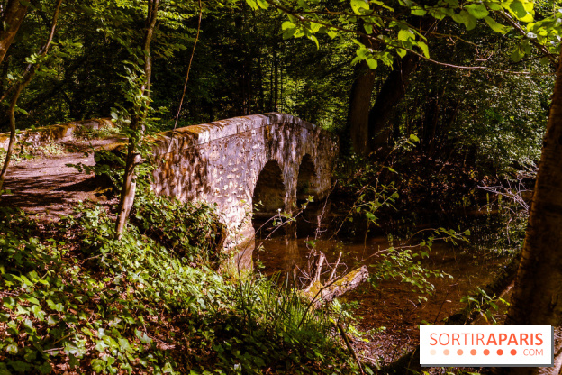 La réserve Naturelle des Etangs de Bonnelles, son pont kiosque, temple de l'amour et ses trésors