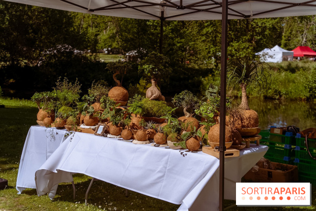 Fête des Plantes au Château de Dampierre dans les Yvelines - photos