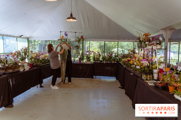 Fête des Plantes au Château de Dampierre dans les Yvelines - photos