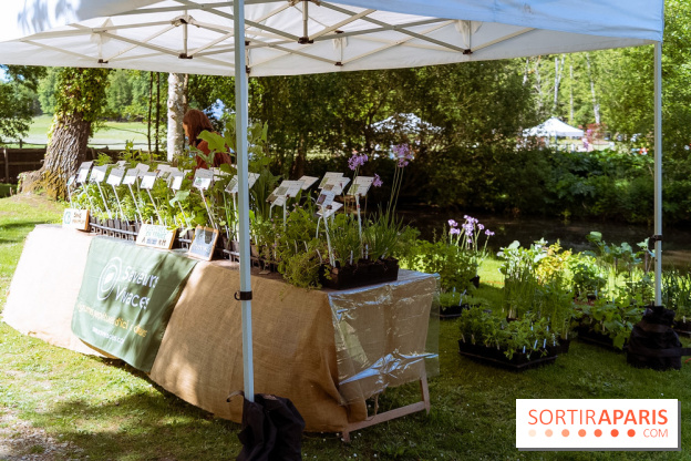 Fête des Plantes au Château de Dampierre dans les Yvelines - photos
