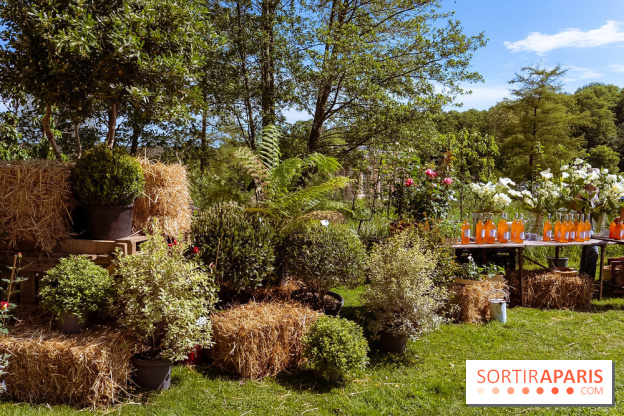 Fête des Plantes au Château de Dampierre dans les Yvelines - photos