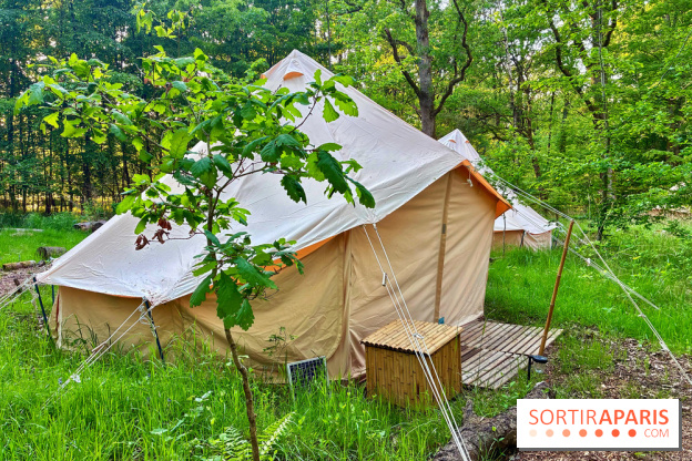 Bivouac avec les loups