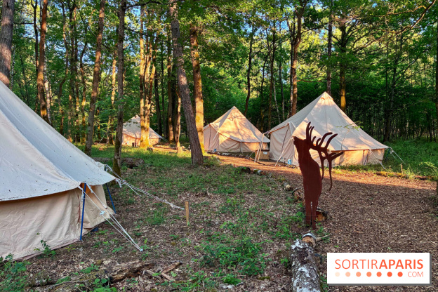 Bivouac avec les loups