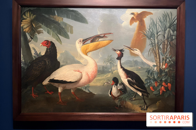 Plumes de Paradis, l'expo au musée du Quai Branly - nos photos