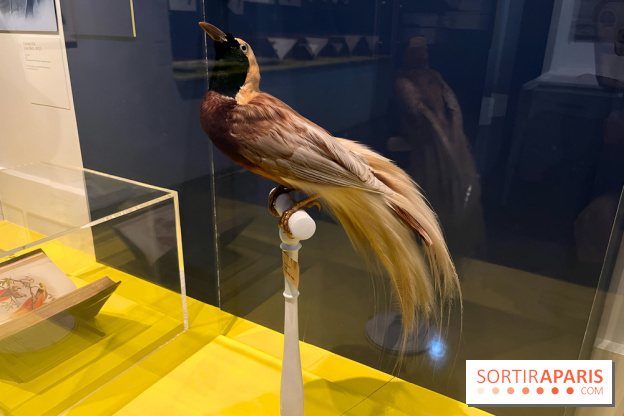 Plumes de Paradis, l'expo au musée du Quai Branly - nos photos