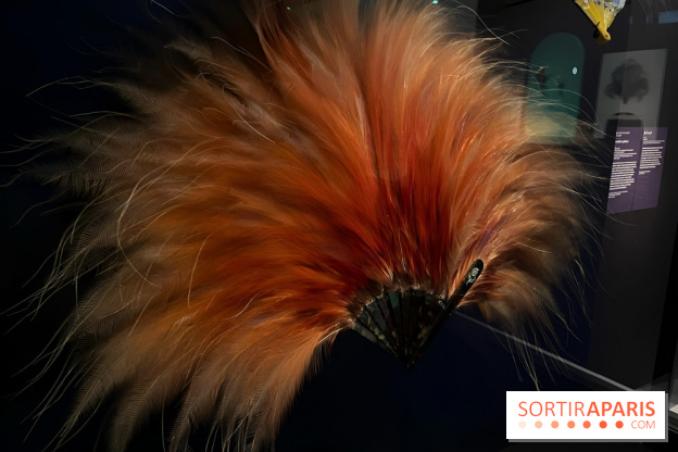 Plumes de Paradis, l'expo au musée du Quai Branly - nos photos