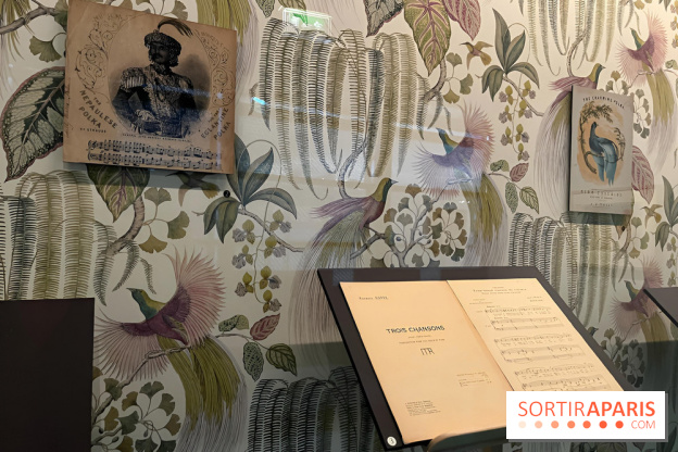 Plumes de Paradis, l'expo au musée du Quai Branly - nos photos