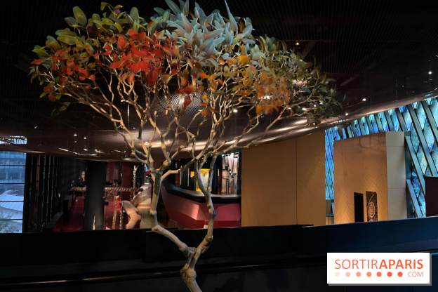 Plumes de Paradis, l'expo au musée du Quai Branly - nos photos