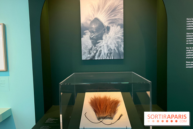 Plumes de Paradis, l'expo au musée du Quai Branly - nos photos