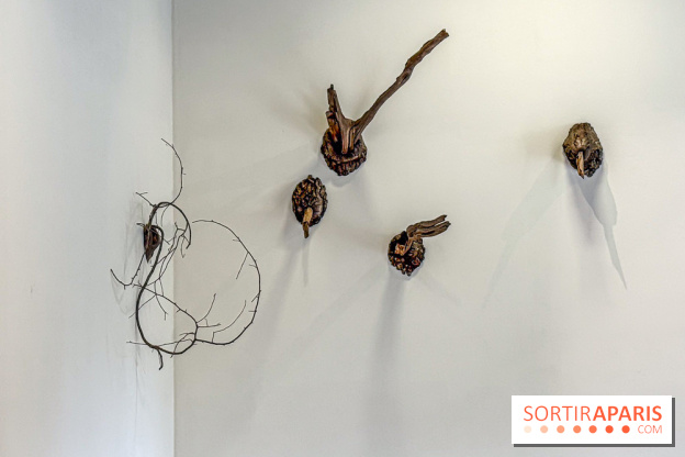 Lélia Demoisy au Domaine de Chamarande : une exposition autour des récits de forêts