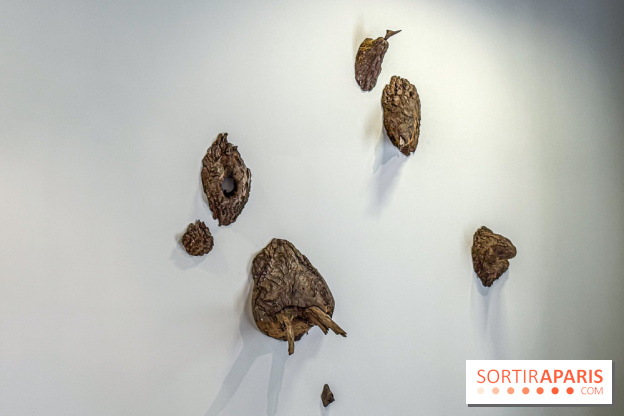 Lélia Demoisy au Domaine de Chamarande : une exposition autour des récits de forêts