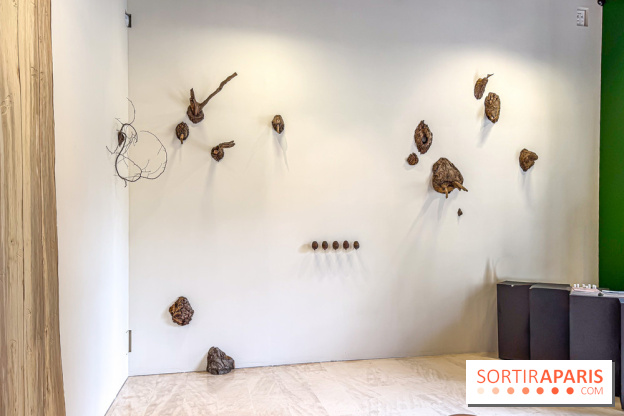Lélia Demoisy au Domaine de Chamarande : une exposition autour des récits de forêts