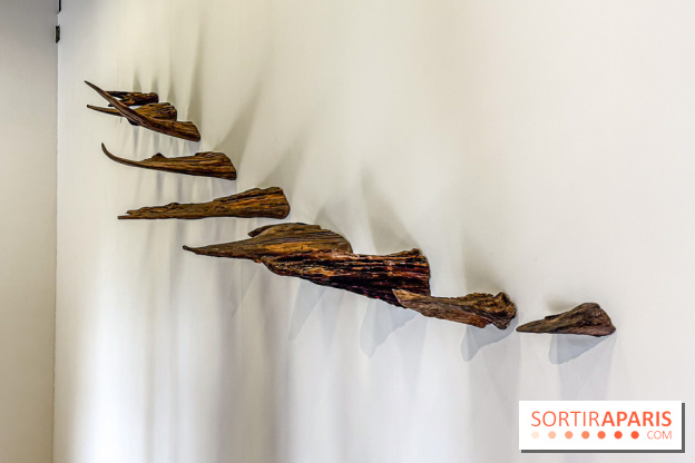 Lélia Demoisy au Domaine de Chamarande : une exposition autour des récits de forêts