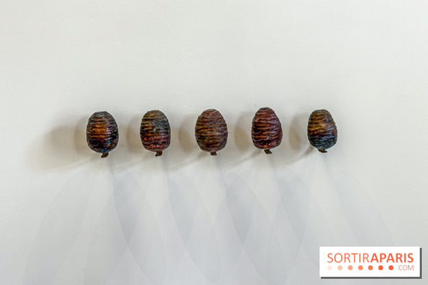 Lélia Demoisy au Domaine de Chamarande : une exposition autour des récits de forêts