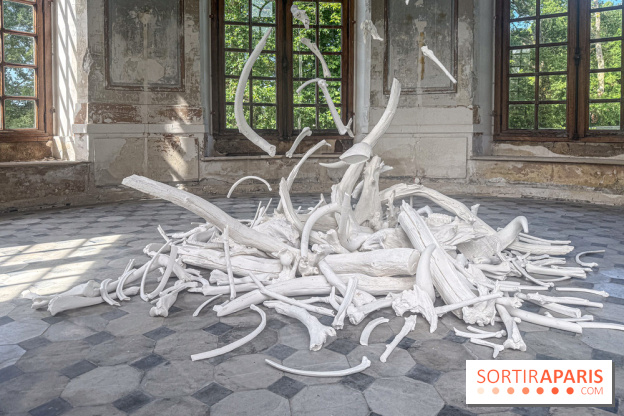 Lélia Demoisy au Domaine de Chamarande : une exposition autour des récits de forêts