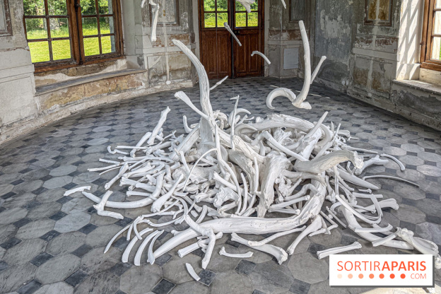 Lélia Demoisy au Domaine de Chamarande : une exposition autour des récits de forêts