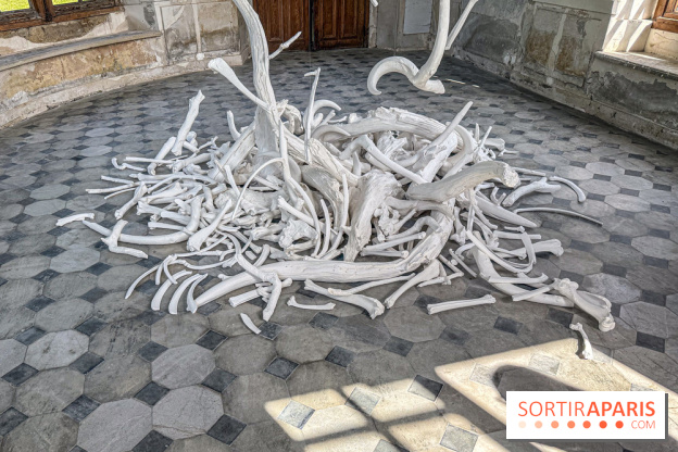 Lélia Demoisy au Domaine de Chamarande : une exposition autour des récits de forêts