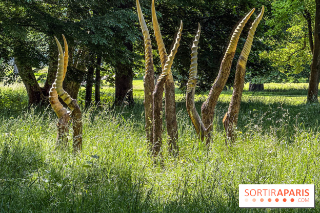 Lélia Demoisy au Domaine de Chamarande : une exposition autour des récits de forêts