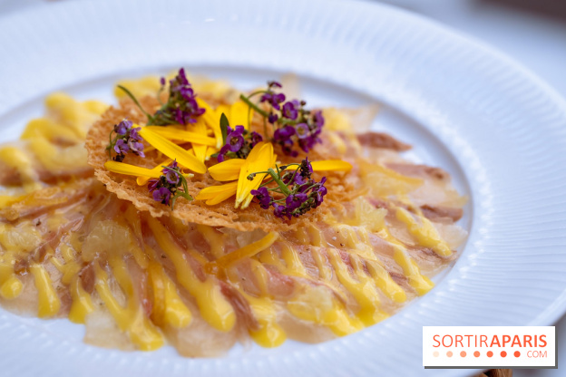 La terrasse jardin du Sax Hotel avec piscine - carpaccio de sériole