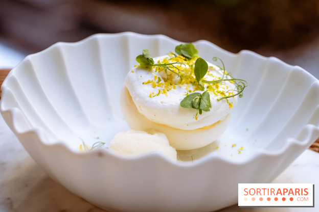 La terrasse jardin du Sax Hotel avec piscine - pavlova citron