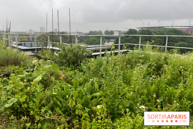 L'aromathèque Persépolis, sur le toit de la bourse du travail à Saint-Denis - nos photos