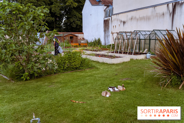 Le domaine du Chateau de la Celle SainCloud dans les Yvelines - photos