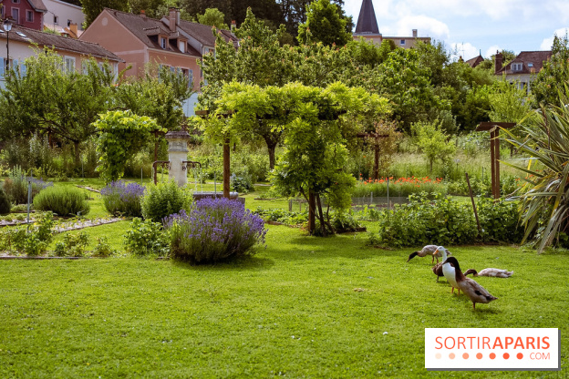 Le domaine du Chateau de la Celle SainCloud dans les Yvelines - photos