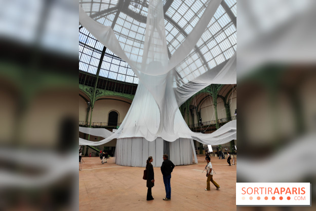 Nous, frissons d'étoile : une installation immersive contemporaine au Grand Palais