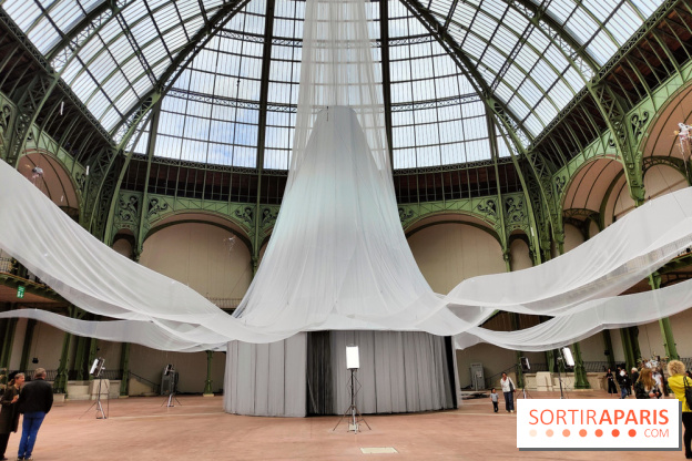 Nous, frissons d'étoile : une installation immersive contemporaine au Grand Palais