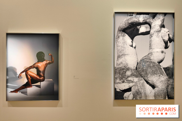 Exposition : Camille Vivier en rétrospective à la Maison Européenne de la Photographie