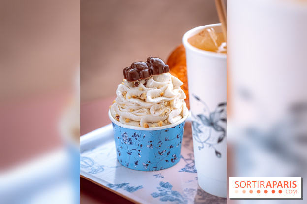 Le comptoir à glaces de Pleincœur et ses coupes glacées - photos