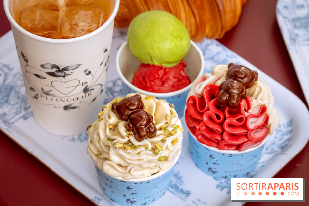 Le comptoir à glaces de Pleincœur et ses coupes glacées - photos