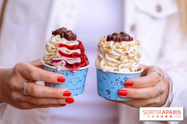 Le comptoir à glaces de Pleincœur et ses coupes glacées - photos