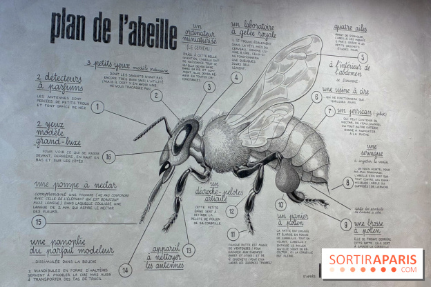 Ateliers autour de l'apithérapie