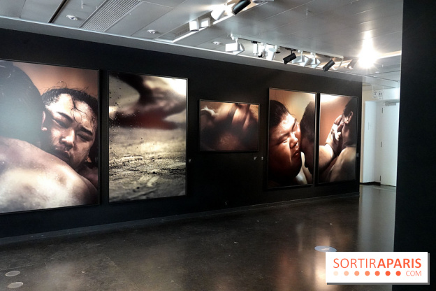 Sumo, forces sacrées : nos photos de l'exposition