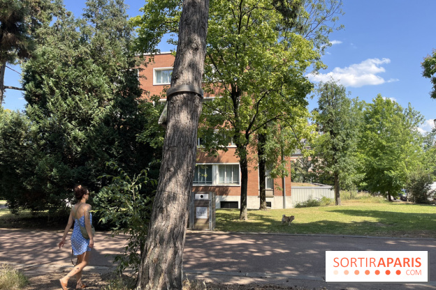 Le parc de la Cité Universitaire, espace vert unique au monde - nos photos