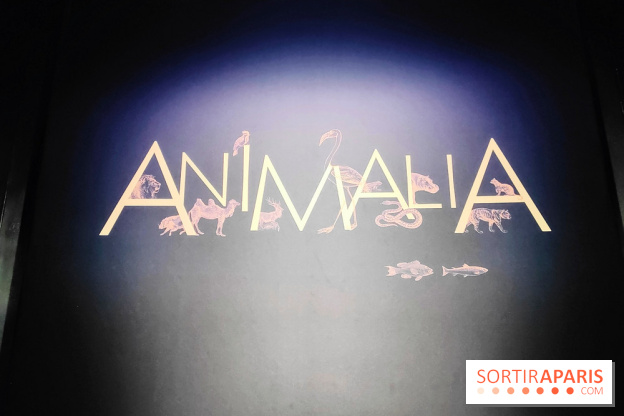 Expo Animalia : quand les animaux inspirent les artistes à travers les siècle à l'Hôtel de la Marine