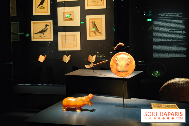 Expo Animalia : quand les animaux inspirent les artistes à travers les siècle à l'Hôtel de la Marine