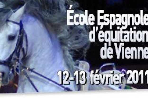 Ecole Equitation