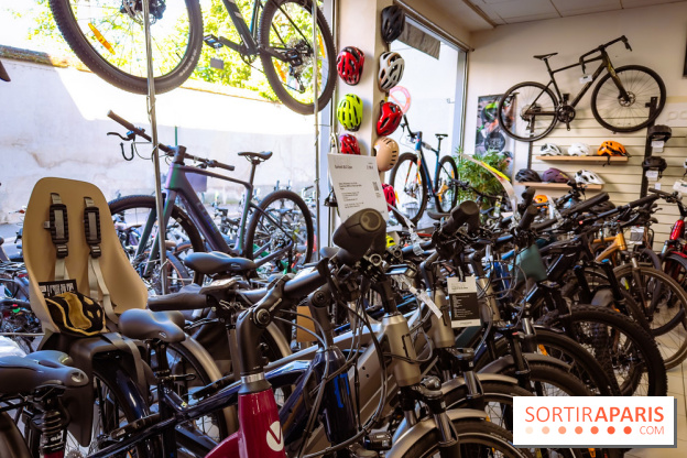 Liaisons douces à Fontainebleau : la forêt à vélo, les photos