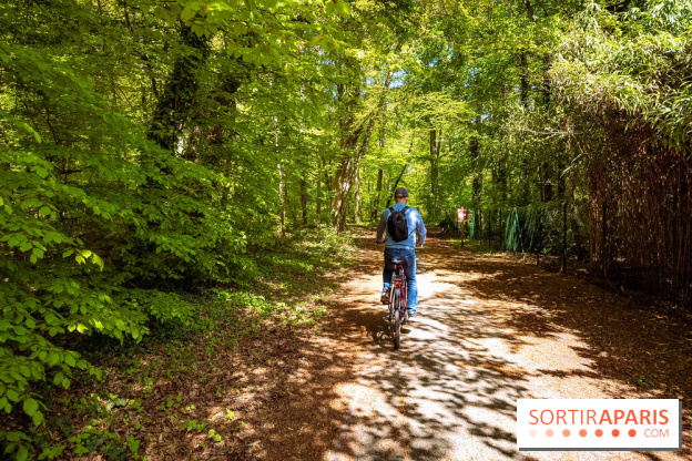 Liaisons douces à Fontainebleau : la forêt à vélo, les photos