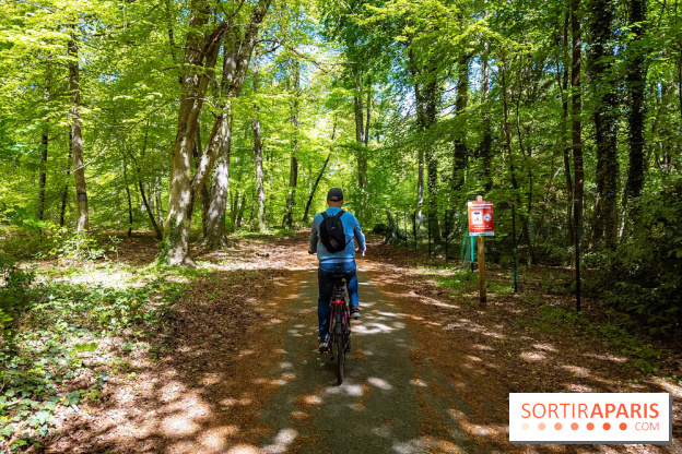Liaisons douces à Fontainebleau : la forêt à vélo, les photos