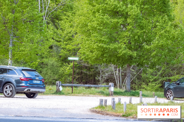 Liaisons douces à Fontainebleau : la forêt à vélo, les photos