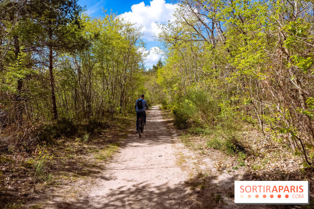 Liaisons douces à Fontainebleau : la forêt à vélo, les photos