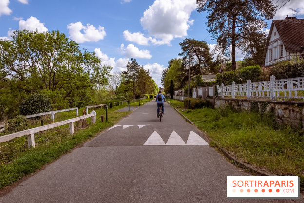 Liaisons douces à Fontainebleau : la forêt à vélo, les photos