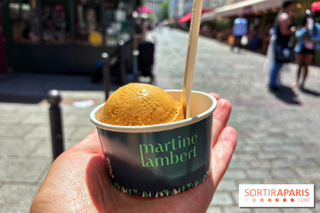 Glaces Martine Lambert