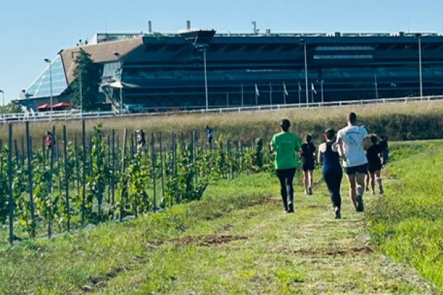 2ème édition du Viti-trail de 10 km du Domaine de Paris Gravelle Dimanche 6 septembre 2026