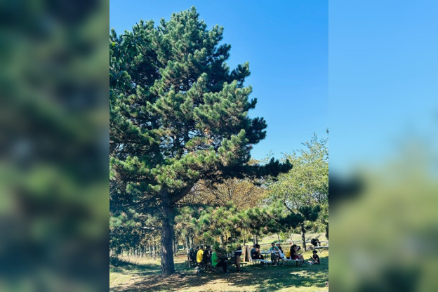 2ème édition du Viti-trail de 10 km du Domaine de Paris Gravelle Dimanche 6 septembre 2026